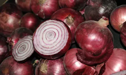 Maharashtra to set up onion storage banks to prevent wastage