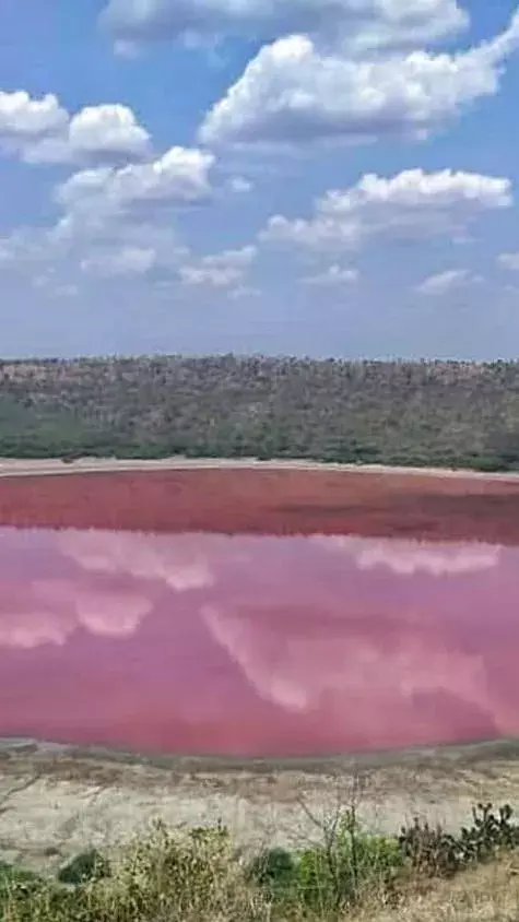 7 Lesser-Known Facts About Lonar Lake: A Meteoric Marvel