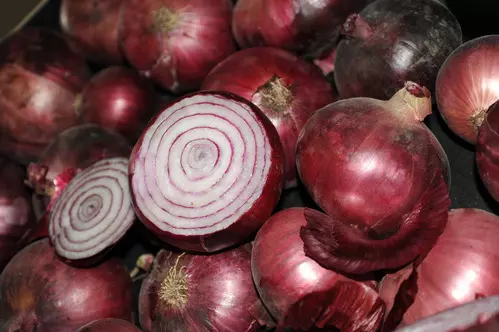 Maharashtra to set up onion storage banks to prevent wastage