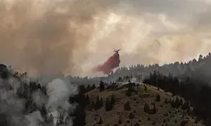 Massive wildfires trigger evacuations, health alerts in US