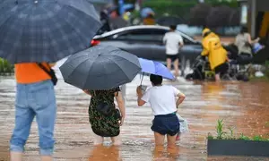 Study reveals human impact on increased rainfall variability over  past century