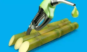 Goa’s ethanol project draws little response from bidders