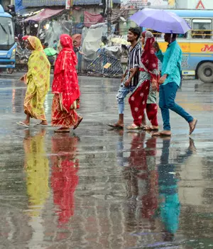 Odisha: Collectors of 13 dists told to review preparedness for rain, flood-like situation Odisha: Collectors of 13 dists told to review preparedness for rain, flood-like situation