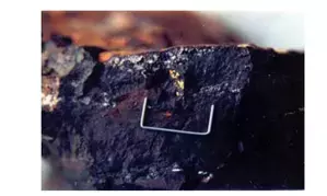 Gold, copper, lithium reserves to boost revenue & employment in Rajasthan: Official