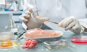 Dog meat row: K’taka govt says samples sent to food lab for analysis