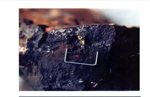 Gold, copper, lithium reserves to boost revenue & employment in Rajasthan: Official