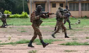 12 killed in terrorist attack in Benin