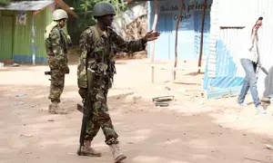 Two al-Shabab militants killed in Kenya