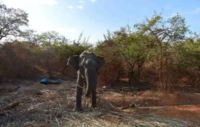 Sri Lanka expects significant increase in tourists visiting nature reserves in 2024