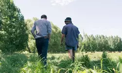 New Zealand farmers suffer low confidence due to high cost