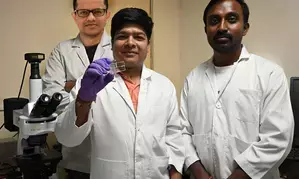 IIT Guwahati researchers develop a new method to boost crop yield