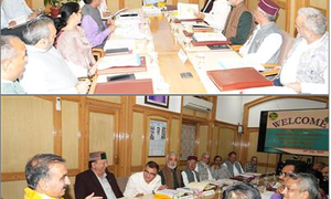 Himachal CM for expediting disposal of timber