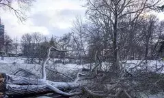 Cyclone Kirsti causes widespread damage, power outages in Latvia