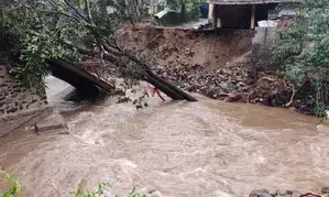 Deeply anguished by Wayanad landslides, says Rahul Gandhi