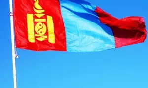 Suspected case of bubonic plague reported in Mongolia