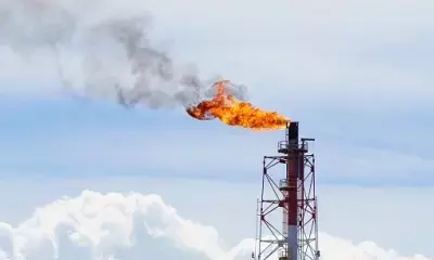 Immediate action on methane emissions crucial to mitigate climate crisis: Study