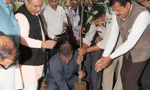 Himachal CM opens plantation drive by planting oak sapling