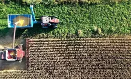 Growing threat of desertification in Spain due to climate change, intensive farming, says expert