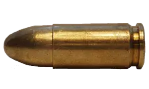 Stray bullet injures woman in Hyderabad