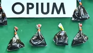 37 kg of raw opium seized in Myanmar 37 kg of raw opium seized in Myanmar