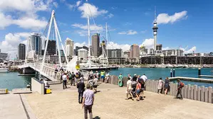 Unprecedented ocean change may impact New Zealand fisheries: study