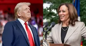Harris, Trump hit each other with multi-million dollar ad blitz