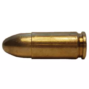 Stray bullet injures woman in Hyderabad