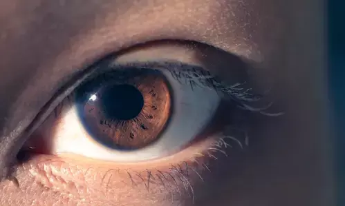 Unique brain connectivity patterns found in people born blind