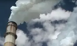 Genetic & environmental factors in disease risk, new insights found