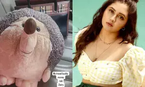 Rashami Desais list of travel essentials is incomplete without her travel buddy