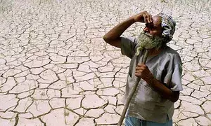 Eleven districts of Bihar face drought-like situation