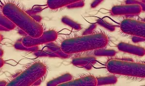 Confirmed cases of Legionnaires disease soar up to 60 in Melbourne