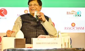 Govts policies have potential to strengthen rupee: Piyush Goyal