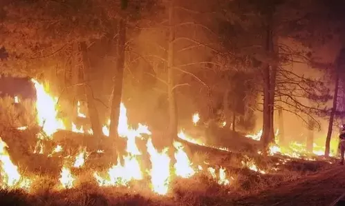 Wildfires continue to ravage Western US amid record drought