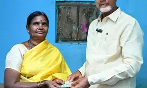 Andhra Pradesh disburses pensions to 97 per cent beneficiaries in single day