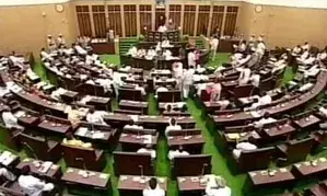 Bedlam in Telangana Assembly over MLAs foul language