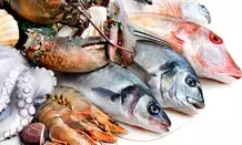 India’s seafood exports have surged by 31 pc to Rs 61,044 crore: Minister