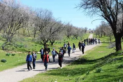 Unemployment rate in Uzbekistan falls to 6.8 per cent