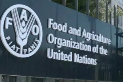 World food prices decline modestly in July: FAO