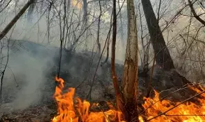 Wildfires rage across US as adverse weather looms