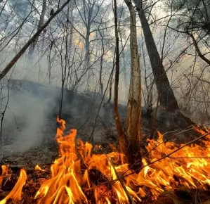 Wildfires rage across US as adverse weather looms