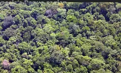 New Zealand helicopter pilot killed in Indonesia