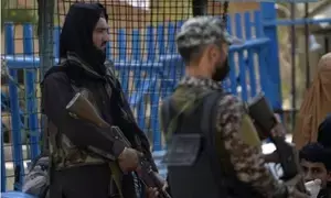 139 Pakistani soldiers killed in operations against terrorism in 2024: Military