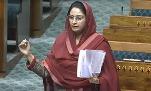 Harsimrat Kaur seeks international status for Bathinda airport