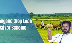 Crop loans of all eligible farmers to be waived, says Telangana minister