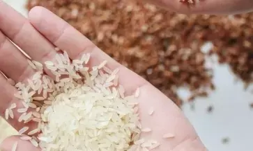 India exported non-basmati rice worth $123 million in April-May