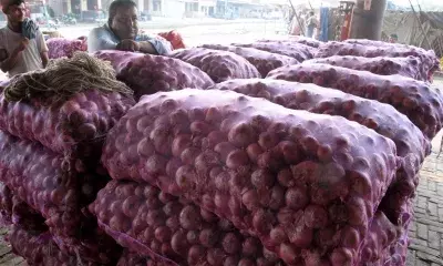 Indias onion exports touch 2.6 lakh tons mark in April-July