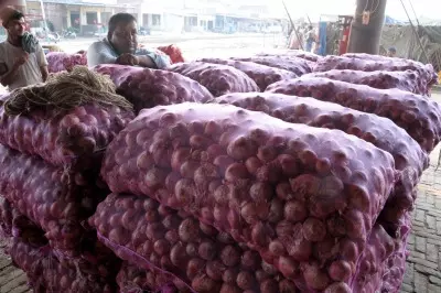 Indias onion exports touch 2.6 lakh tons mark in April-July