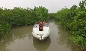 Bangladesh crisis: Patrolling intensified at marine borders in Bengals Sunderbans