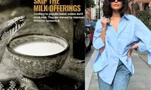 On Nag Panchami, Karishma Tanna asks people to stop milk offerings to snakes